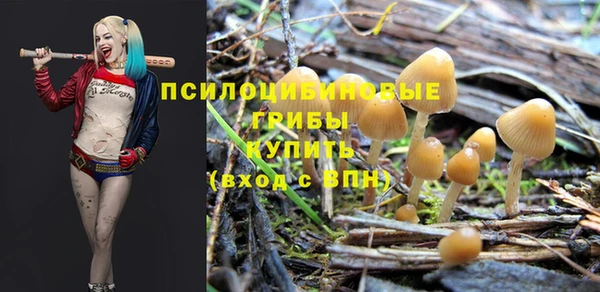 прущая мука Белокуриха