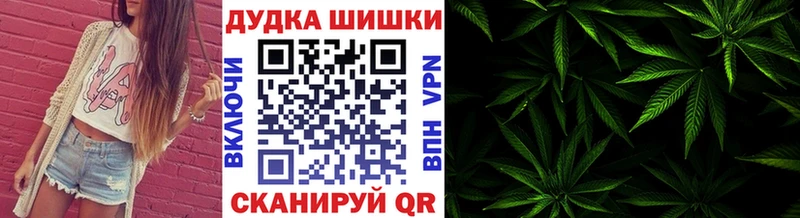 что такое   Гатчина  Марихуана индика 